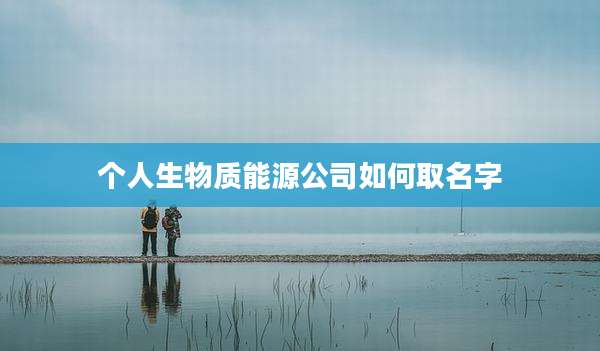 个人生物质能源公司如何取名字