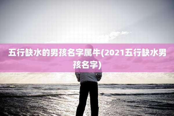 五行缺水的男孩名字属牛(2021五行缺水男孩名字)