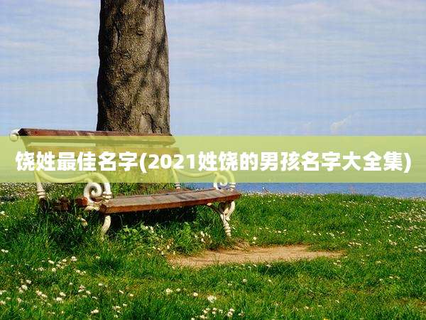 饶姓最佳名字(2021姓饶的男孩名字大全集)