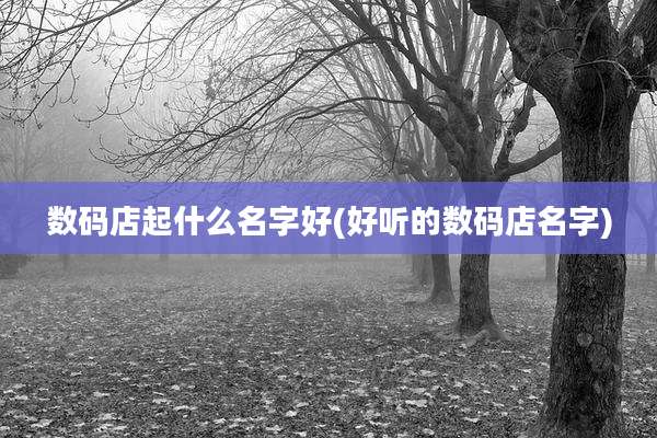 数码店起什么名字好(好听的数码店名字)