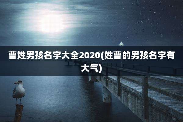 曹姓男孩名字大全2020(姓曹的男孩名字有大气)