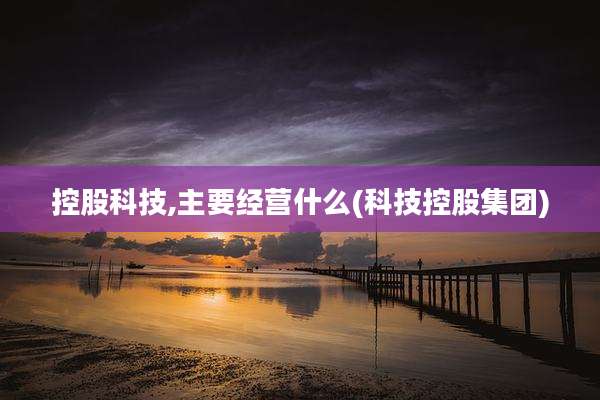 控股科技,主要经营什么(科技控股集团)