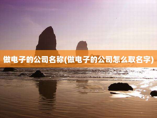 做电子的公司名称(做电子的公司怎么取名字)
