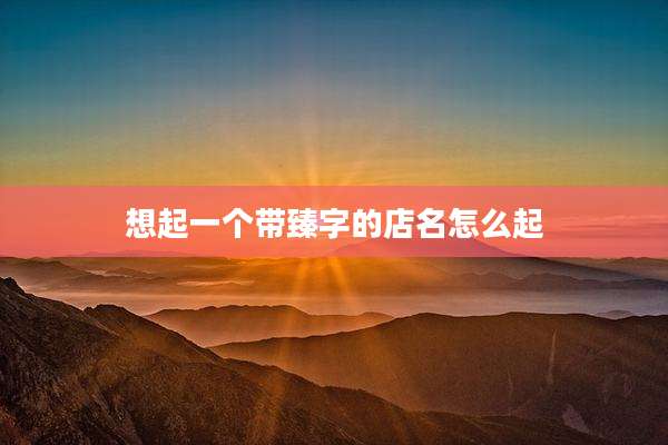 想起一个带臻字的店名怎么起