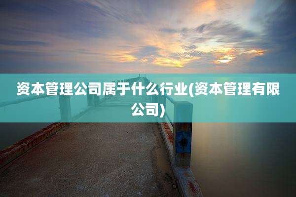 资本管理公司属于什么行业(资本管理有限公司)