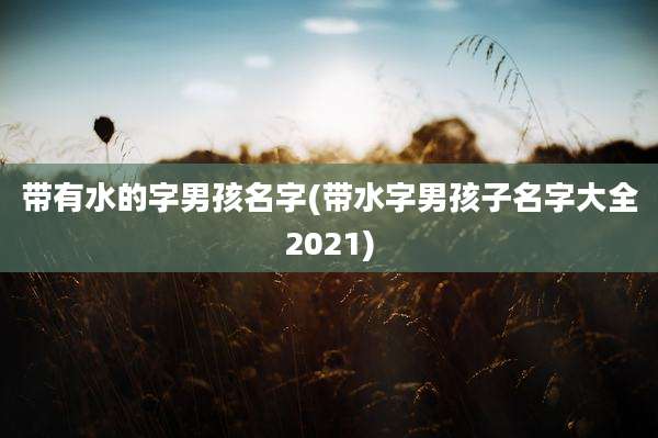 带有水的字男孩名字(带水字男孩子名字大全2021)