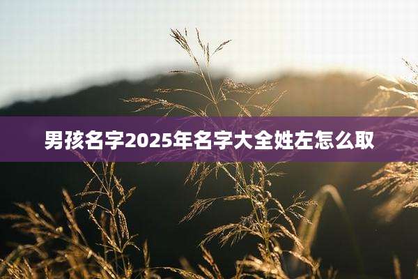男孩名字2025年名字大全姓左怎么取