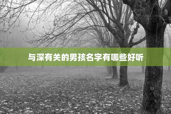 与深有关的男孩名字有哪些好听