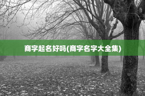 商字起名好吗(商字名字大全集)