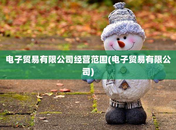 电子贸易有限公司经营范围(电子贸易有限公司)