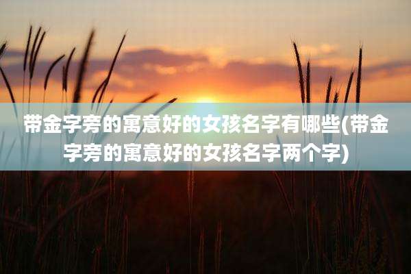 带金字旁的寓意好的女孩名字有哪些(带金字旁的寓意好的女孩名字两个字)