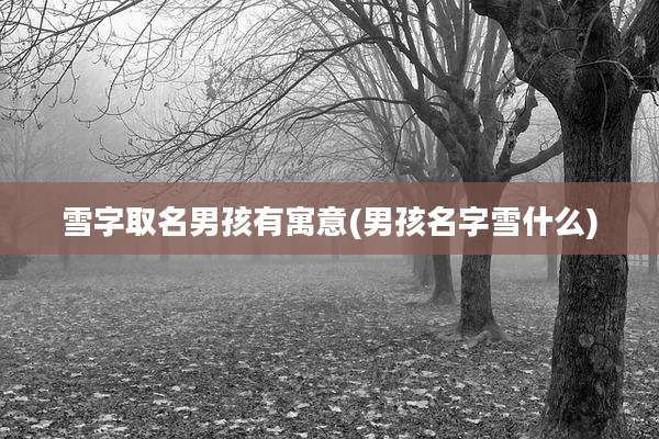 雪字取名男孩有寓意(男孩名字雪什么)