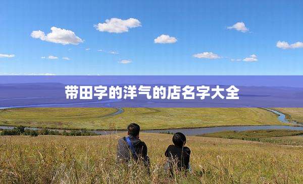 带田字的洋气的店名字大全