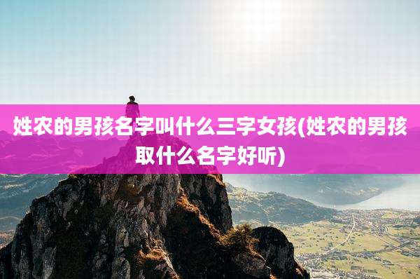 姓农的男孩名字叫什么三字女孩(姓农的男孩取什么名字好听)