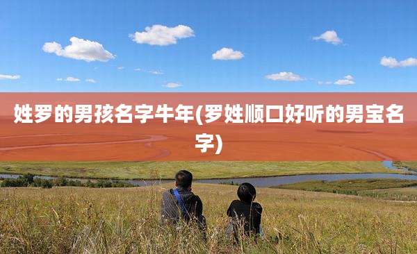 姓罗的男孩名字牛年(罗姓顺口好听的男宝名字)