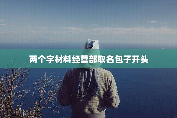 两个字材料经营部取名包子开头