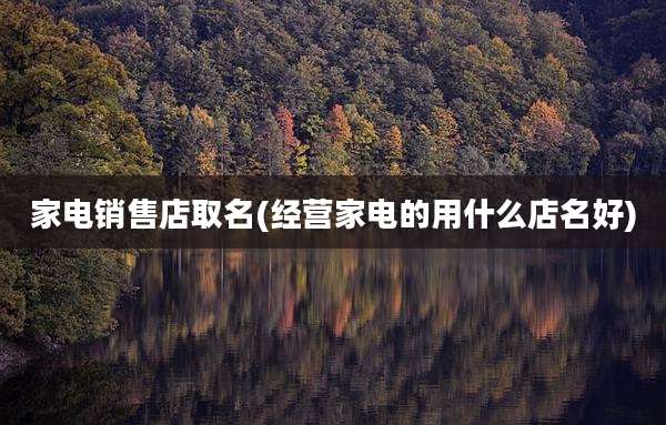 家电销售店取名(经营家电的用什么店名好)