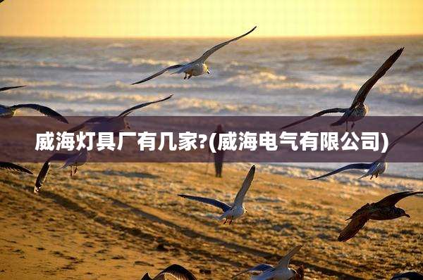 威海灯具厂有几家?(威海电气有限公司)