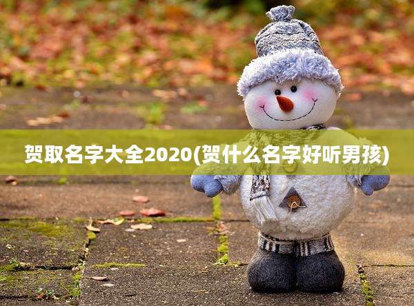 贺取名字大全2020(贺什么名字好听男孩)