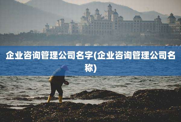 企业咨询管理公司名字(企业咨询管理公司名称)