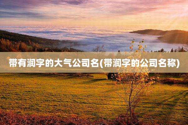带有润字的大气公司名(带润字的公司名称)