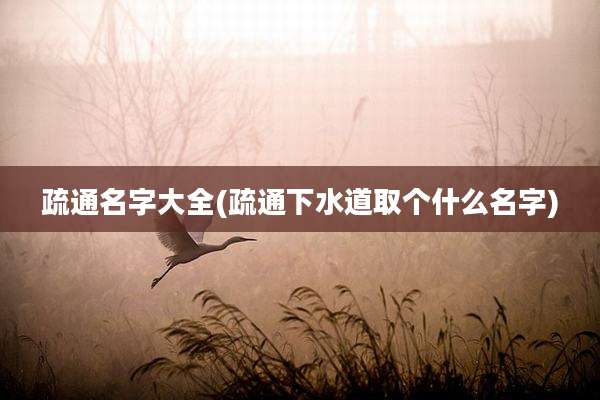 疏通名字大全(疏通下水道取个什么名字)