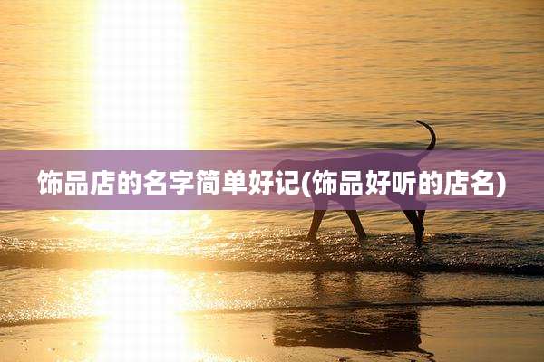 饰品店的名字简单好记(饰品好听的店名)