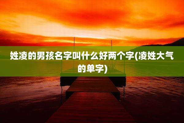 姓凌的男孩名字叫什么好两个字(凌姓大气的单字)