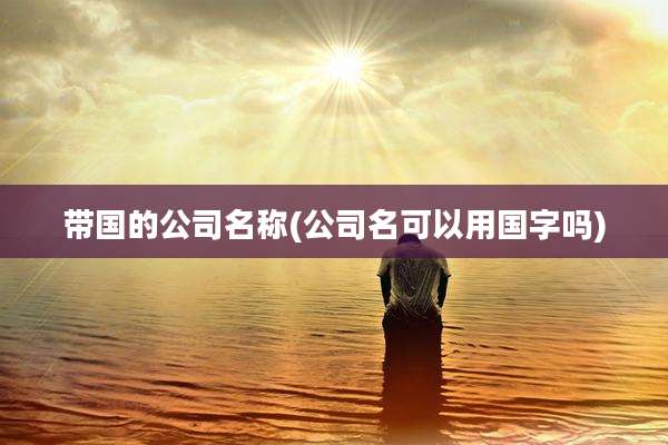 带国的公司名称(公司名可以用国字吗)