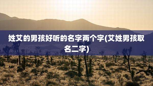 姓艾的男孩好听的名字两个字(艾姓男孩取名二字)