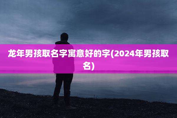 龙年男孩取名字寓意好的字(2024年男孩取名)