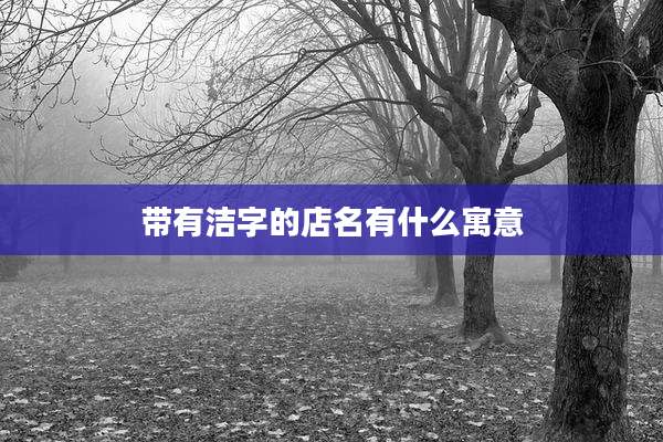 带有洁字的店名有什么寓意