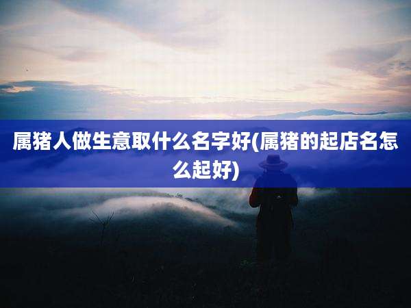 属猪人做生意取什么名字好(属猪的起店名怎么起好)