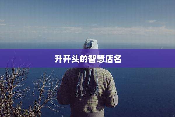 升开头的智慧店名