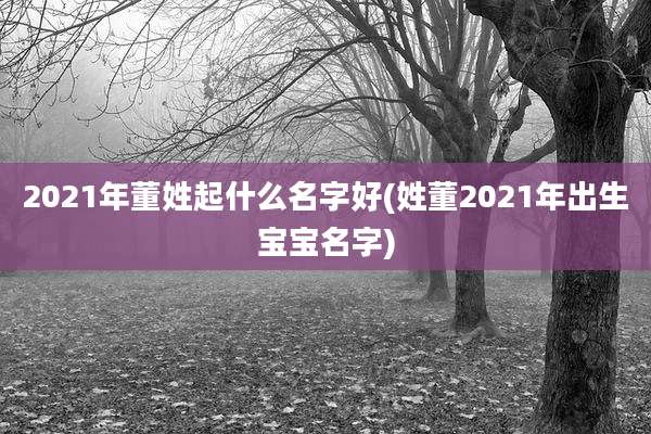 2021年董姓起什么名字好(姓董2021年出生宝宝名字)