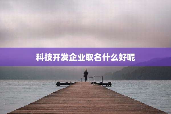 科技开发企业取名什么好呢