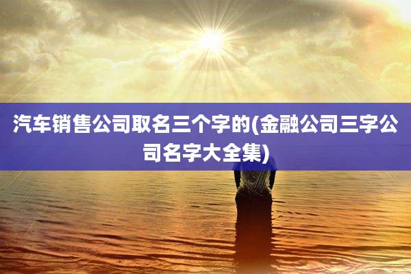 汽车销售公司取名三个字的(金融公司三字公司名字大全集)