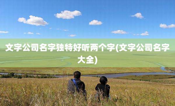 文字公司名字独特好听两个字(文字公司名字大全)