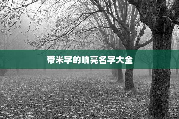 带米字的响亮名字大全