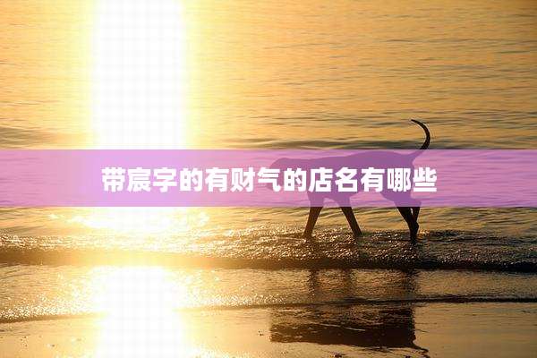 带宸字的有财气的店名有哪些