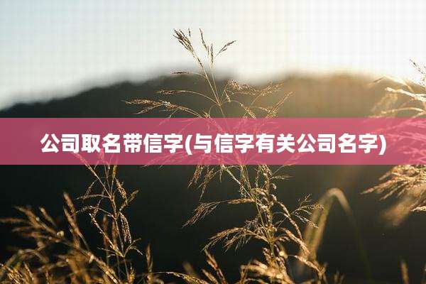 公司取名带信字(与信字有关公司名字)