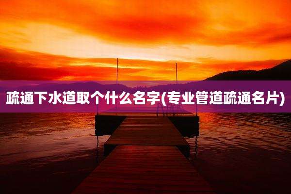疏通下水道取个什么名字(专业管道疏通名片)