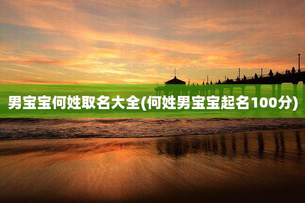 男宝宝何姓取名大全(何姓男宝宝起名100分)