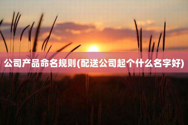 公司产品命名规则(配送公司起个什么名字好)