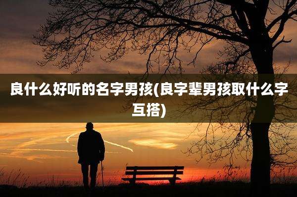 良什么好听的名字男孩(良字辈男孩取什么字互搭)