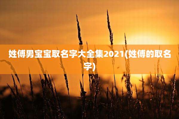 姓傅男宝宝取名字大全集2021(姓傅的取名字)