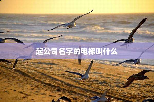 起公司名字的电梯叫什么