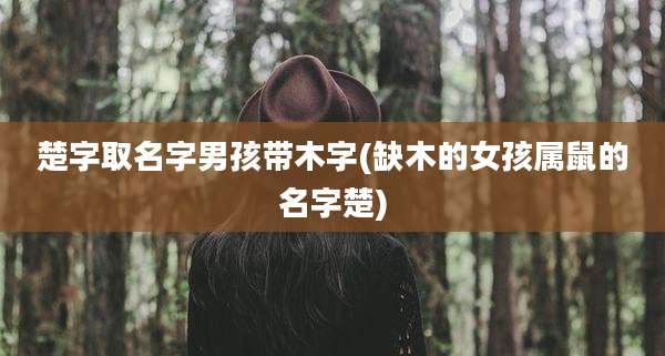 楚字取名字男孩带木字(缺木的女孩属鼠的名字楚)