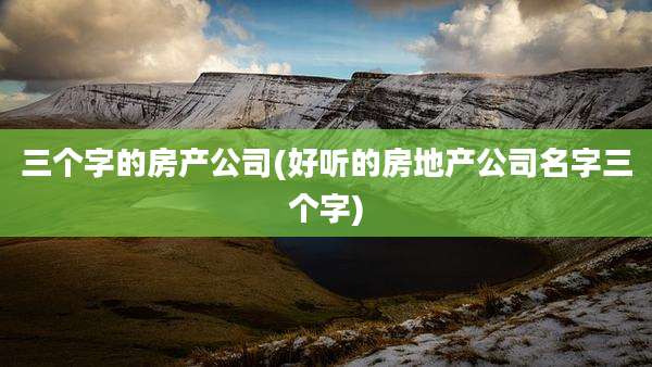 三个字的房产公司(好听的房地产公司名字三个字)