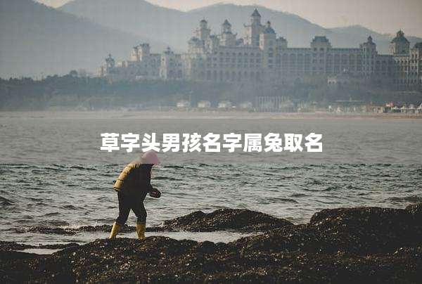 草字头男孩名字属兔取名